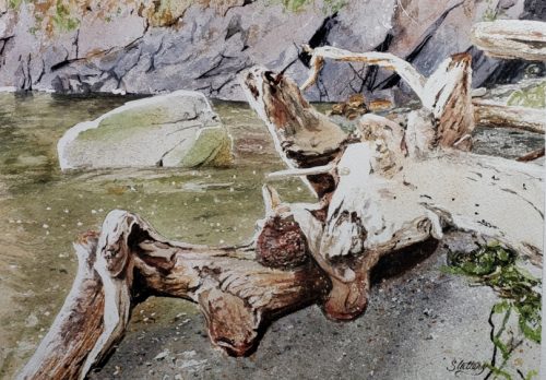 Driftwood-at-Watmough-email